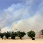 Imagen del incendio junto a la N-240 del pasado 19 de junio. 