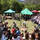 Concurs de xolla d'ovelles amb màquina i tisora a Arrós de Cardós