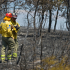 Varios bomberos en la zona afectada por el incendio forestal originado en Humanes (Guadalajara).