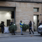 Plantas de marihuana decomisadas ayer por la tarde en un almacén de la avenida Alcalde Porqueres de Lleida.