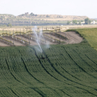 Una finca regada por el Segarra-Garrigues en Tàrrega.