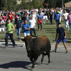La Fiscalia no veu delicte de maltractament animal en el torneig del Toro de la Vega