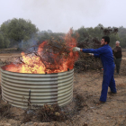 Un pagès tirant restes de poda d'una finca a un forn per fer biocarbó.