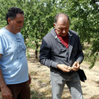 L'alcalde de Castelldans i un pagès que agafa l'aigua del Segarra-Garrigues visiten un camp d'ametllers que fa quatre dies que no es rega