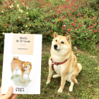 La perrita Mochi real y un ejemplar del libro ‘Mochi de Té Verde’.