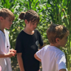 Algunos niños ya visitaron ayer el laberinto de maíz.