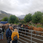 Alguns dels visitants que va rebre ahir Vielha durant la fira ramadera.
