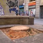 El lugar donde había la palmera que, al caer, mató a una joven de 20 años en Barcelona.
