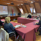 Una vista de la reunión que mantuvieron los representantes del Pirineo de Lleida con Pere Aragonès.