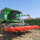 En fincas como esta de Gimenells ya se han comenzado los trabajos de cosecha del maíz.