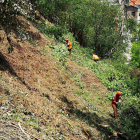 Los trabajos llevados a cabo para retirar masa forestal. 