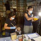 Técnicos en la antigua farmacia Tomàs Pinyol de Llardecans. 