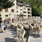 Un rebaño acompañado de los pastores atravesando Tavascan hacia la montaña donde pasarán el verano