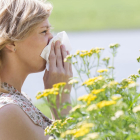 Unos 107.700 leridanos sufren algún tipo de alergia respiratoria, lo que supone un 25% de la población. 
