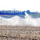 Plaques fotovoltaiques o agricultura