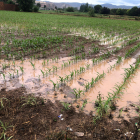 Camps negats a Balaguer arran de les intenses precipitacions d'ahir