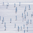 Espectacular foto àrea feta ahir durant la sortida de la quaranta-tresena Marxa Beret, amb l’ombra allargada dels esquiadors que provoca una il·lusió sobre la neu.