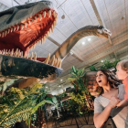 Dos reproduccions a mida real del Dinosaurs Tour