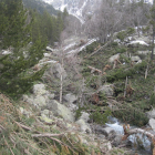 Los árboles derribados y la nieve apenas dejan ver el cauce del río Sant Nicolau debajo de ellos. 