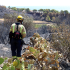Un bombero remoja una zona afectada por las llamas en Colera.