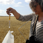 Una pèrit d'Agroseguro pesant cereal afectat per la sequera en una finca de Granyena de Segarra

Data de publicació: dimarts 06 de juny del 2023, 13:22

Localització: Granyena de Segarra