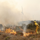 Un bomber treballa per apagar unes flames en uns arbustos a Begís (Castelló).