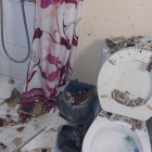 El techo del baño de una vivienda se derrumbó por las acciones de los okupas, que viven en estos pisos. 