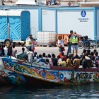 Una pastera rescatada aquesta setmana al sud de Tenerife.