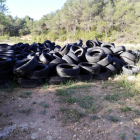 Decenas de neumáticos en una finca forestal de Vinaixa