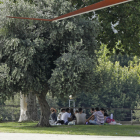 Un grupo de jóvenes buscando ayer la sombra ante la jornada calurosa en Lleida ciudad. 