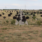 Els terrenys de Torre Salses, entre la Bordeta i Magraners.