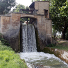 Los regantes de Lleida podrán saber a partir de septiembre las necesidades de agua de los cultivos con una plataforma digital