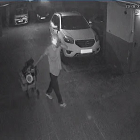 Las cámaras del parking comunitario captaron al ladrón.