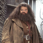 Coltrane, caracterizado como Hagrid.