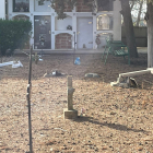 Algunas de las cruces con daños en el cementerio de Penelles. 