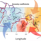 Imagen de un mapa donde se puede ver como la orografía (líneas moradas), los límites de los obispados (líneas rojas) y los flujos migratorios históricos (flechas) han modelado el perfil genético de las poblaciones rurales del Pirineo (zonas en color).