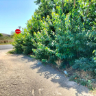 Señal de Stop tapada por ramas de árboles en La Bordeta.