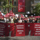 Animalistes demanen que PSOE retiri l'esmena a la llei de protecció animal