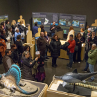 Los participantes abrieron la ‘Nit Gastronòmica’ con una visita a la exposición temporal del Museu.