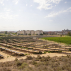 El parque solar de la partida de Balàfia ya es una realidad