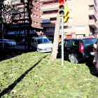 Hojas caídas en una calle de Lleida.