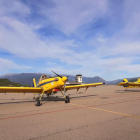 Dos avionetes a la Seu que han dut a terme proves per al tractament contra la processionària.