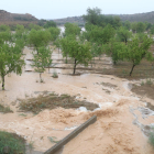 El agua ha inundado campos de almendros en Torrebesses.
