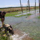 Una de las bocas de agua que ayer se abrieron en Miralcamp para la supervivencia del arbolado.