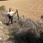 Gerard Mollet, agricultor de Bassella, en una de les seues finques amb restes agrícoles.