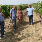 Visita a la finca experimental de regadiu de vinyes a Verdú.