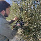 Un agricultor corta ramas de un olivo.