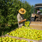 Els productes més venuts a l’exterior segueixen sent els del sector de l’alimentació, com la fruita.