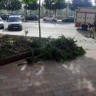 Los Bomberos ayer en la plaza Pare Sanahuja. 