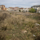 El centre d'acollida de refugiats que projecta el Govern espanyol a Tàrrega té defensors i també detractors. Una plataforma d'aquests últims lamenta que no es consultés la ciutadania. A la imatge, els terrenys del futur centre.